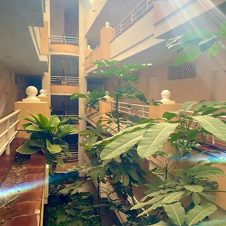 Casa Hugo - Ocean View, Quiet Pool, Fibre Net, Gigantes Daire