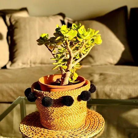 Casa Hugo - Ocean View, Quiet Pool, Fibre Net, Gigantes