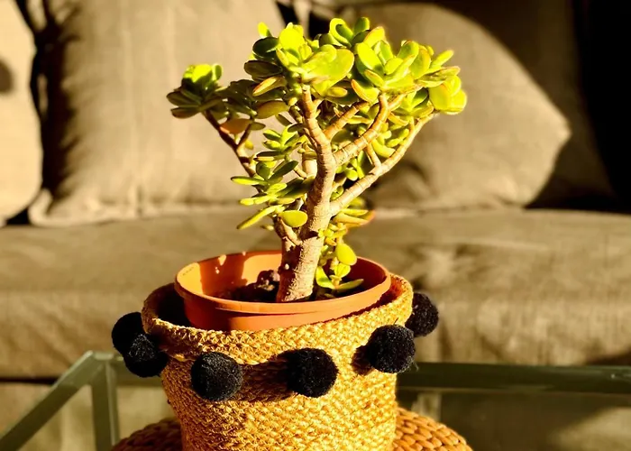 Casa Hugo - Ocean View, Quiet Pool, Fibre Net, Gigantes